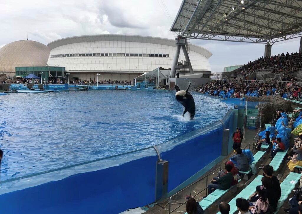 日本一大きい名古屋港水族館の見どころ7選をご紹介 Rashiku Like