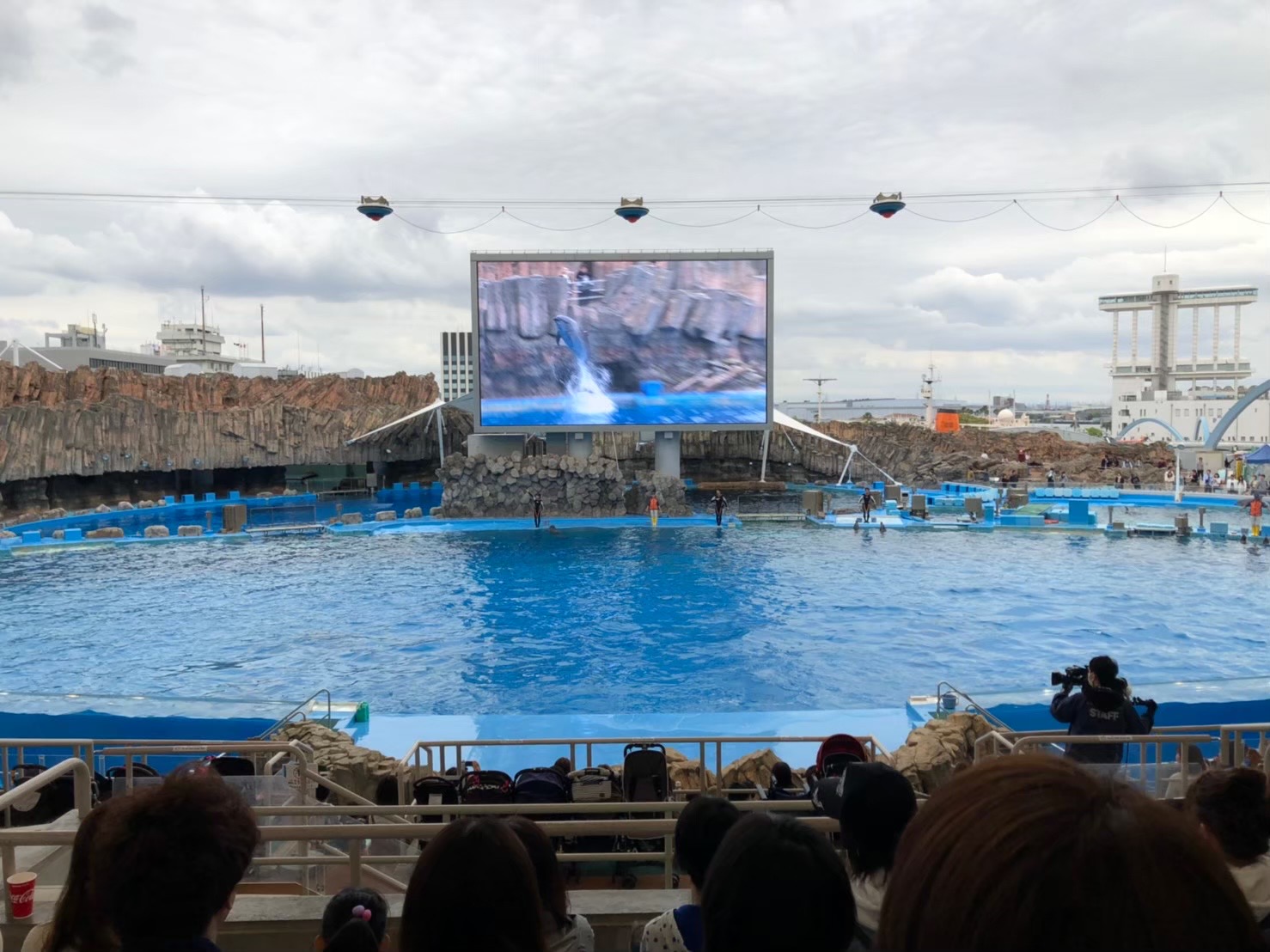 日本一大きい名古屋港水族館の見どころ7選をご紹介 Rashiku Like