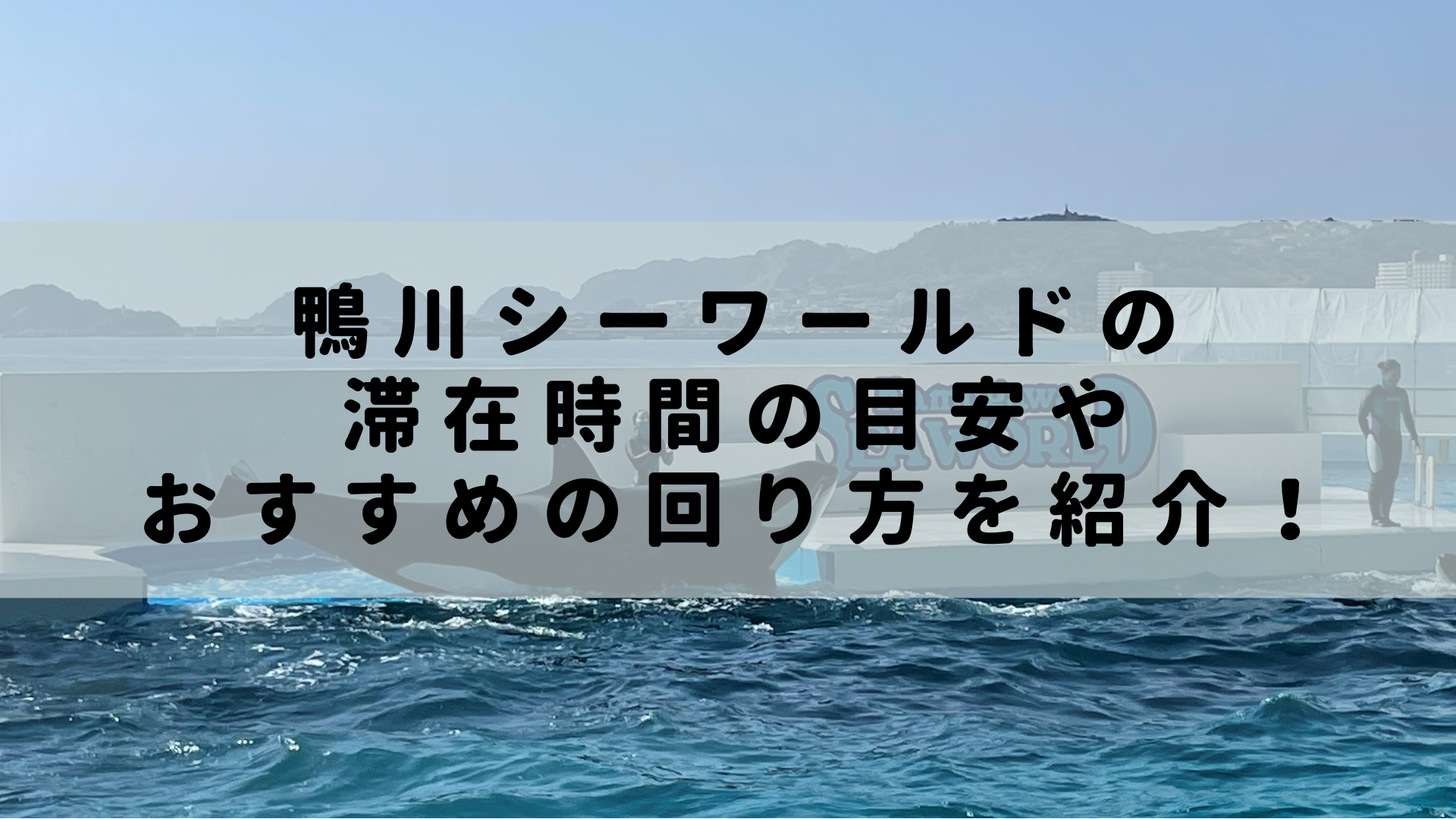 鴨川シーワールドの滞在時間の目安やおすすめの回り方を紹介 Rashiku Like