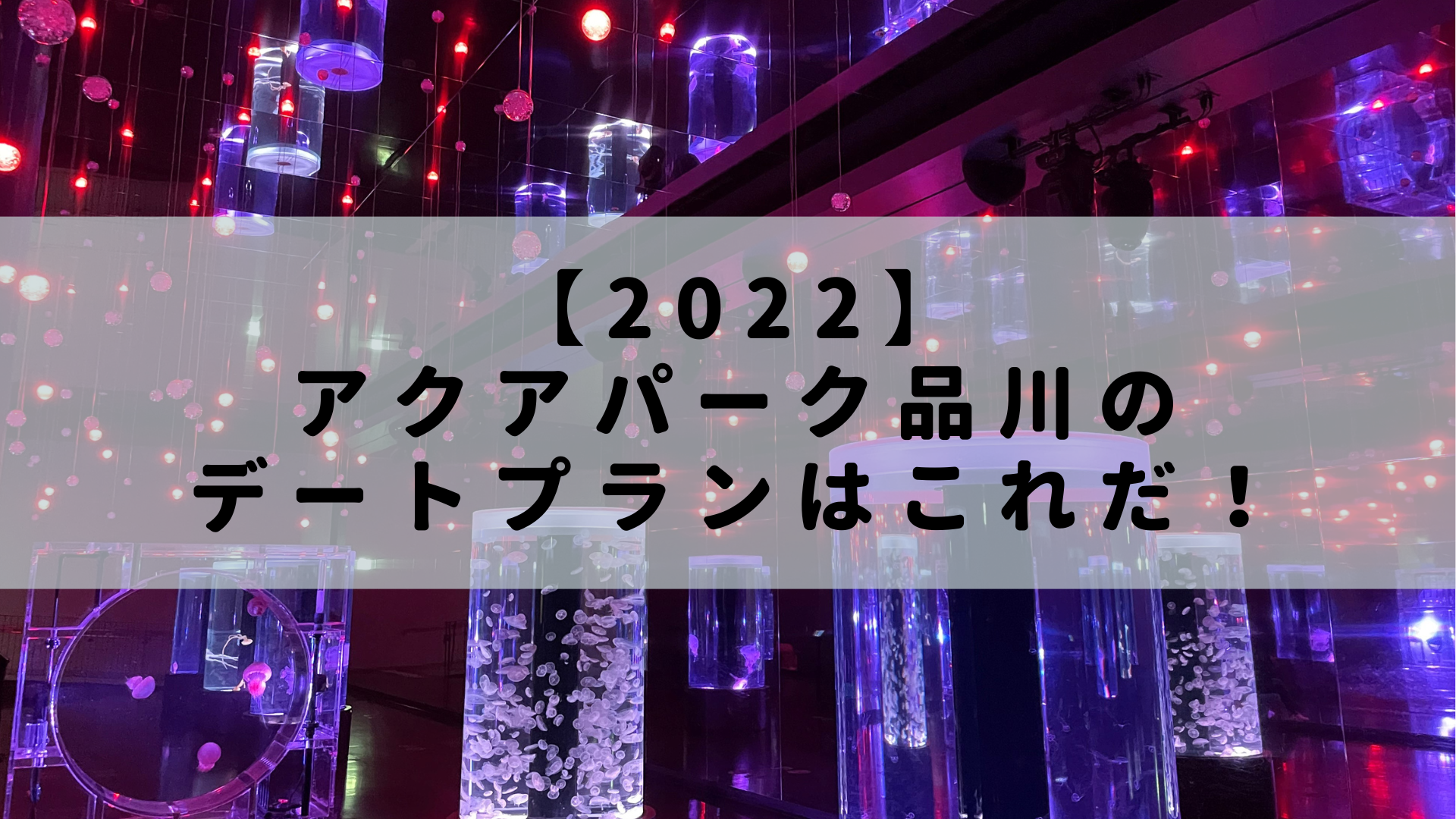 アクアパーク品川 学生が楽しめる2つのデートプランを完全解説 周辺のコスパ良しのお店3選も紹介 Rashiku Like