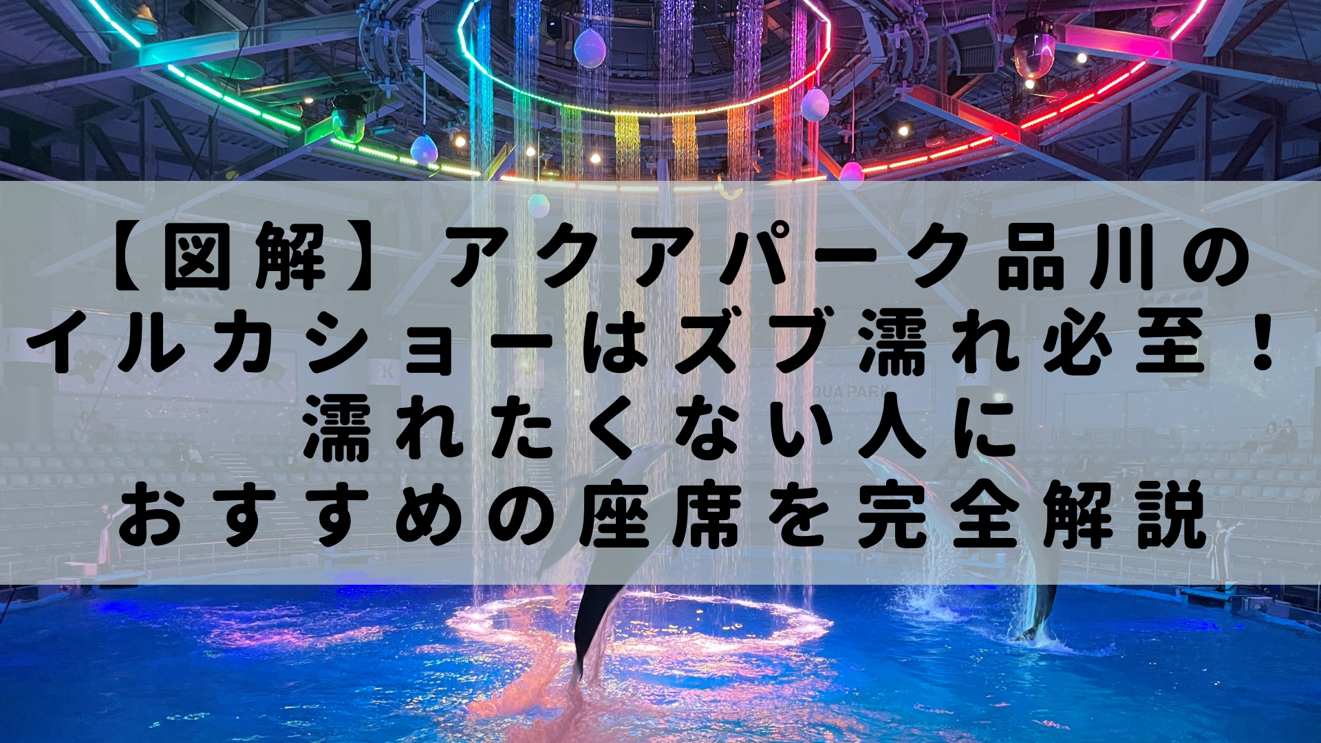 図解 アクアパーク品川のイルカショーはズブ濡れ必至 濡れたくない人におすすめの座席を完全解説 Rashiku Like