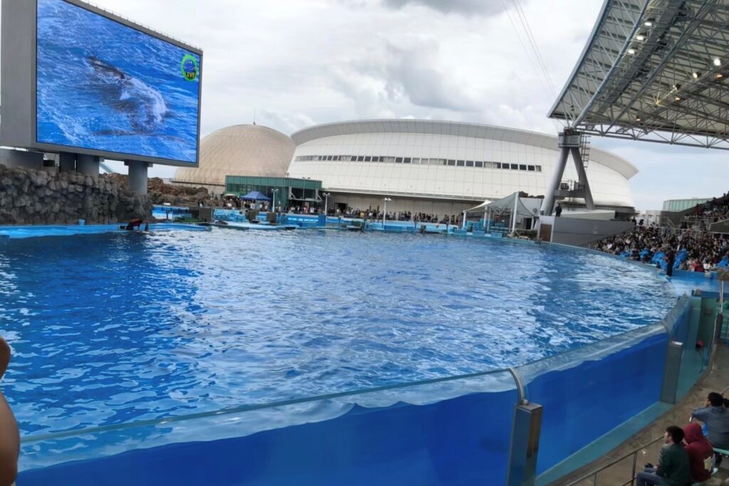 名古屋港水族館のスタジアムの様子を撮影した写真
