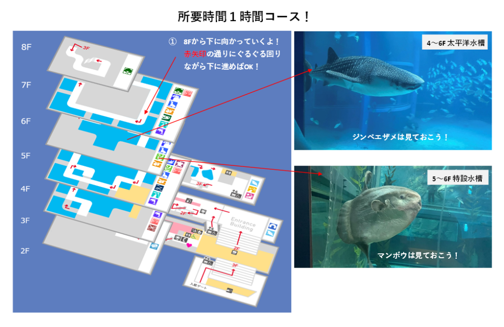 海遊館は何時間で回れる？