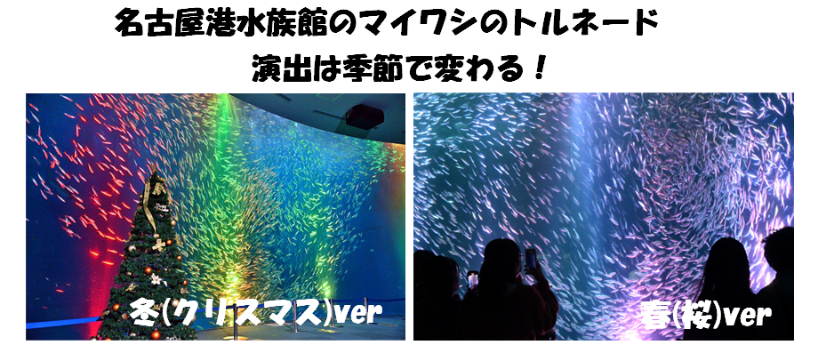 名古屋港水族館のマイワシのトルネードは季節で演出が変わるの画像